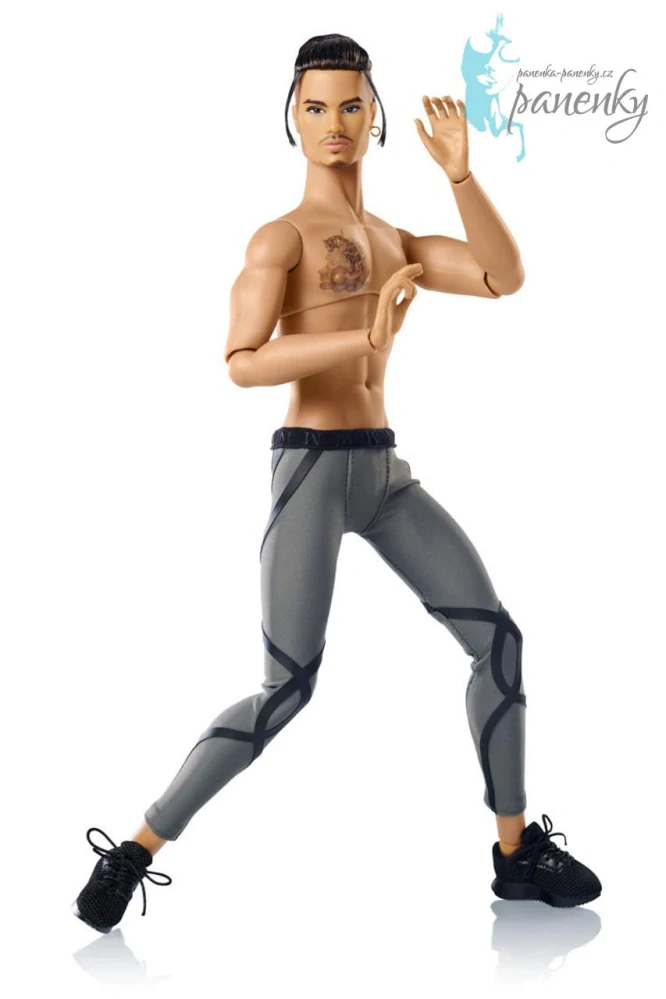 Panáček Power Workout Tenzin Dahkling